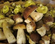 Цікавинки нашого села