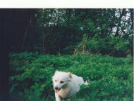 Мої рідні простори