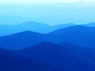 Тарган - Останні фото