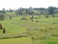 Пейзажі та околиці Лімни