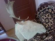 Цікавинки нашого села