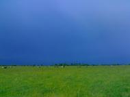 Моє рідне село