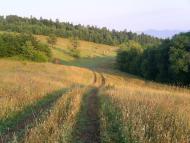 Загальний вигляд на село