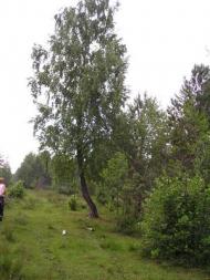 Цікавинки нашого села