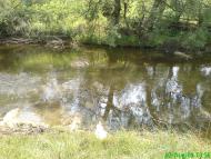 Пейзажі та околиці Лімни