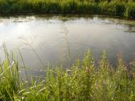 Жемелинці - Останні фото