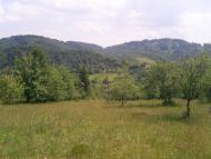 Загальний вигляд на село