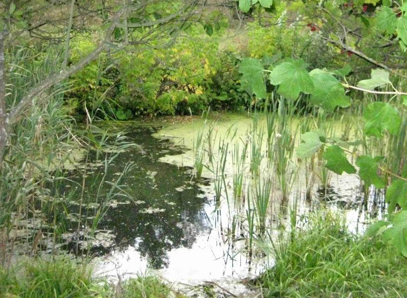 Глинча - Глинча