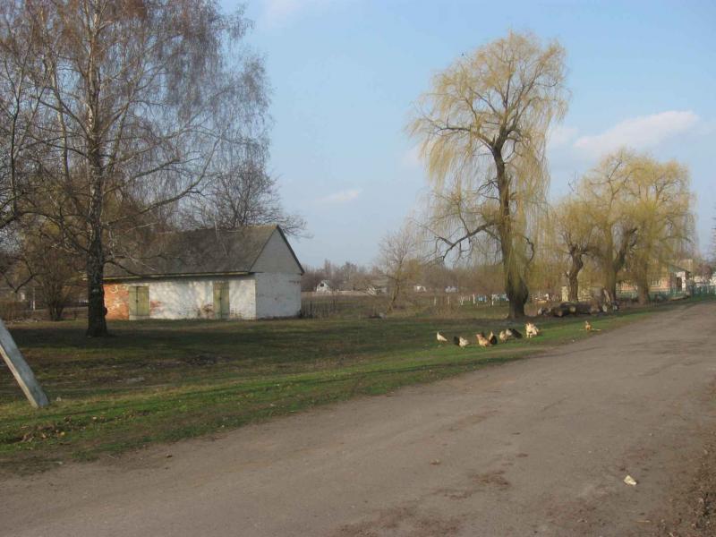 Вулиці села - Вершина-Згарська