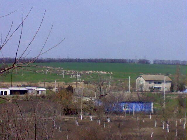 Новоселівка - Новоселівка