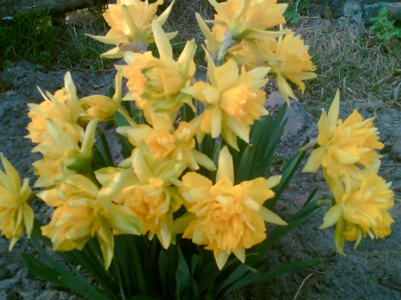 Весна іде... - Переброди