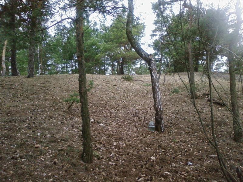 Зелень - Зелень