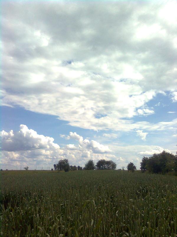 Літо - Головлі