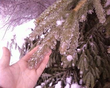 Цікавинки нашого села - Березове