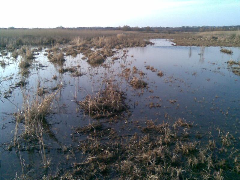 Моє - Великоселецкое