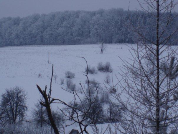 чемеринці - Чемеринці