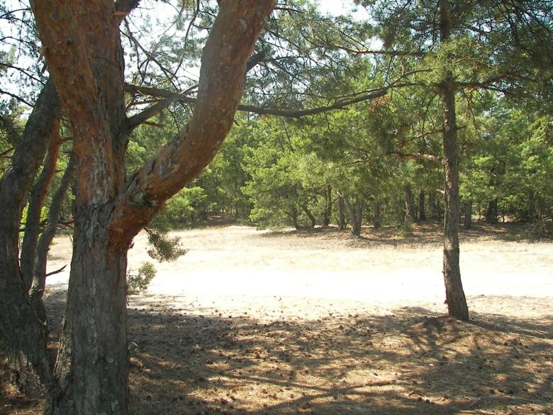 Піски - Котира