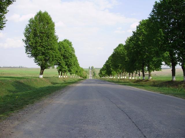 Моє село - Snitkiv