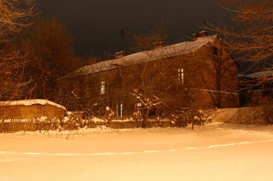 НІЧ - Долинская