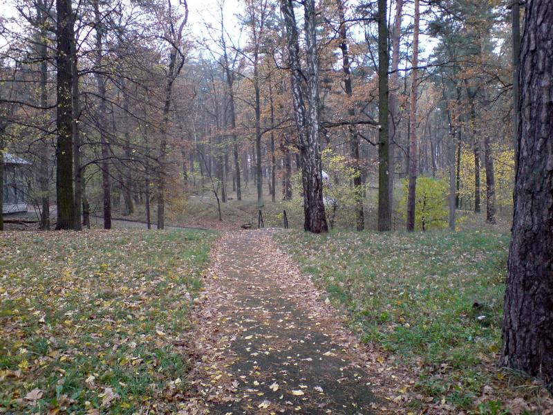 Поїзди гудуть за Ірпінню... - Ірпінь