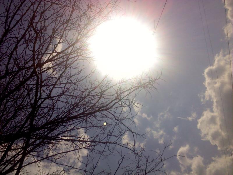 Новоселівка - Новоселівка