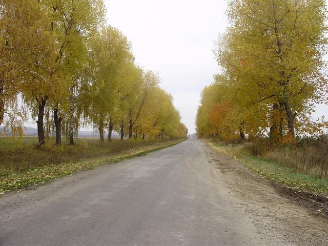 Моє село - Snitkiv