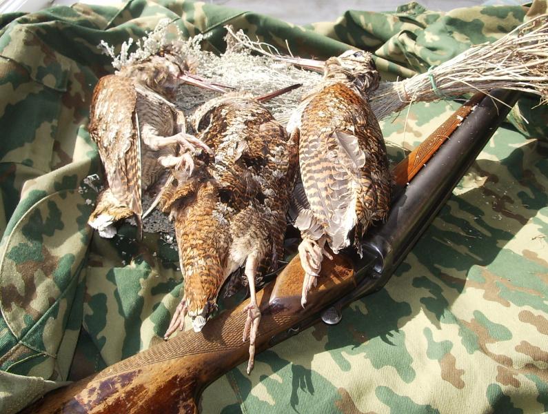 Моя Родина - Новоохтирка