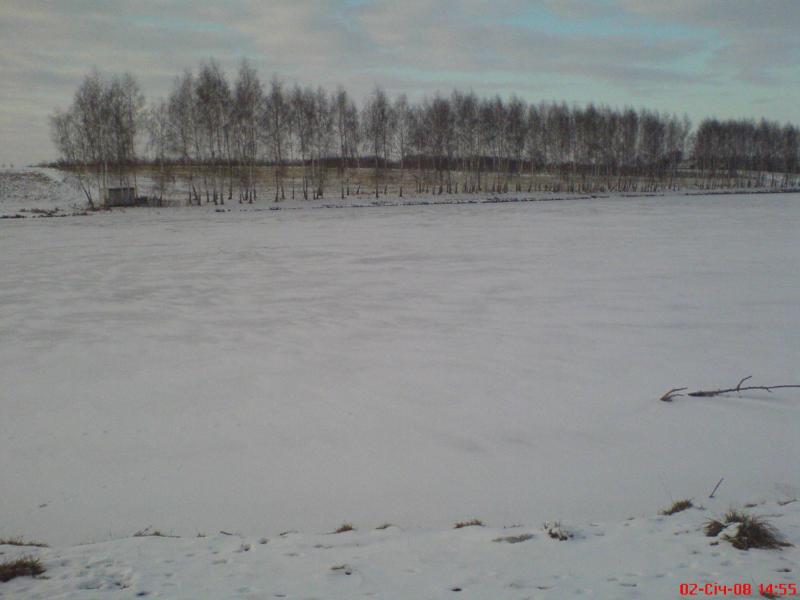 Ставок - Tomashpol