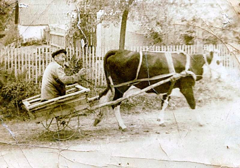 Лисівчани. - Малі Лисівці