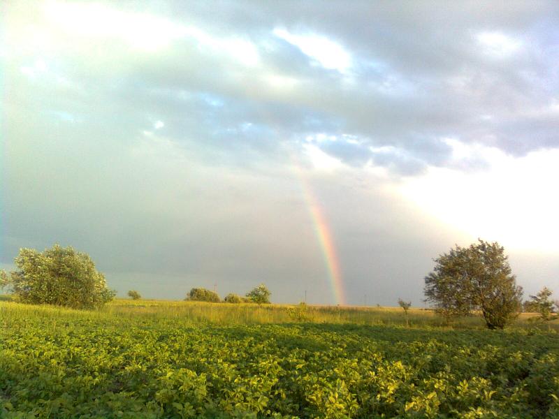 Літо - Головлі