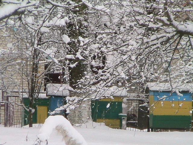 Несвіч - Несвечь