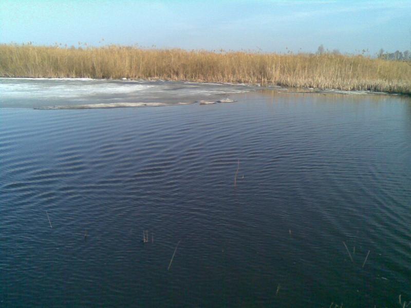 Моє - Великоселецкое