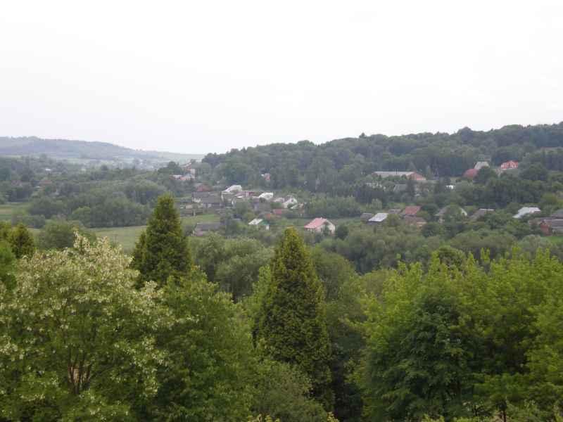 Панорама села - Міженець