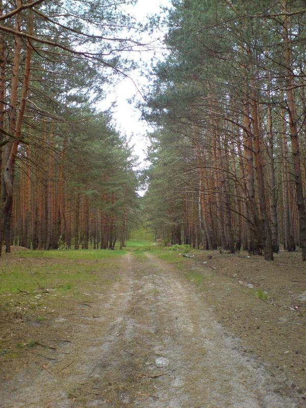Поїзди гудуть за Ірпінню... - Ірпінь