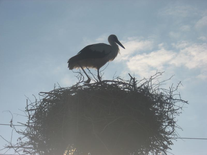 с.Міженець - Міженець