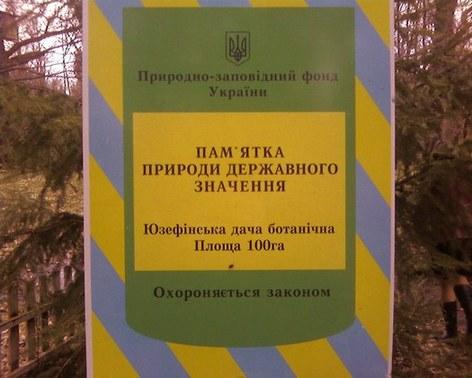 Юзефінська дача - Березовое