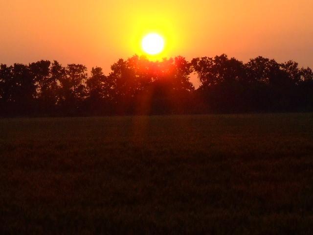 Кошмановка - Кошманівка