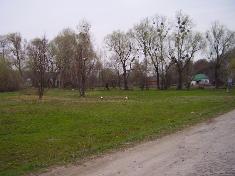 Блаженний край - Bobrivnyk