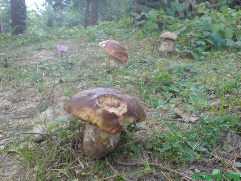 Пейзажі та околиці Лімни - Лімна