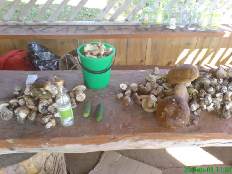 Пейзажі та околиці Лімни - Лімна