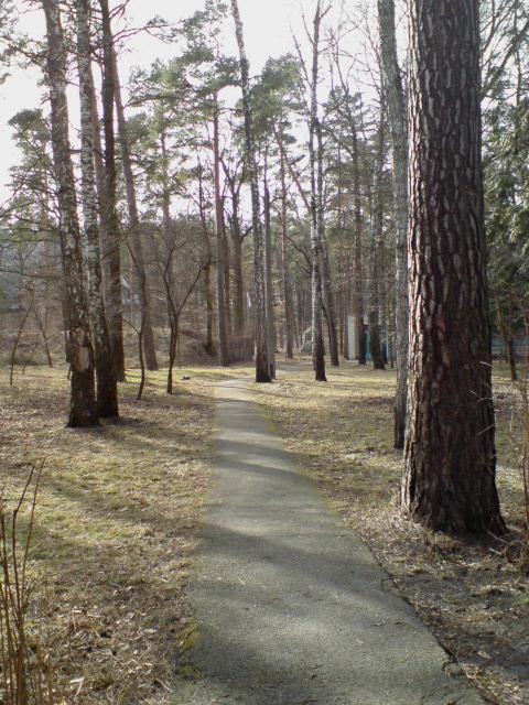 Поїзди гудуть за Ірпінню... - Ірпінь
