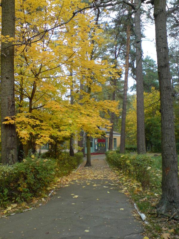 Поїзди гудуть за Ірпінню... - Ірпінь