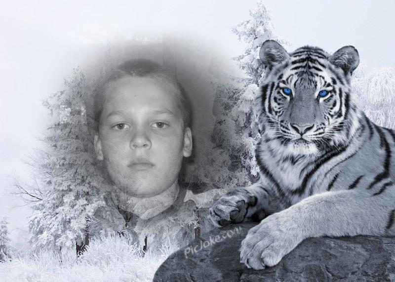 богдан - Ладичин