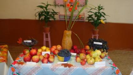 свято осені - Велика Ростівка