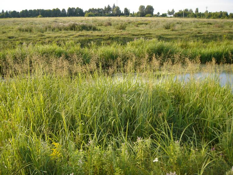 Краєвиди - Жемелинцы