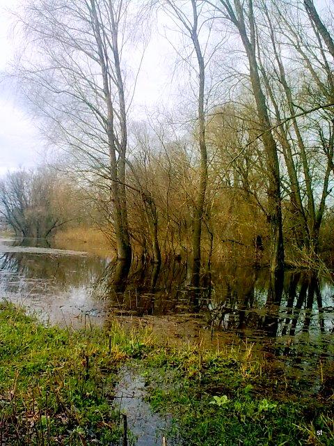 Рідне село - Войниха
