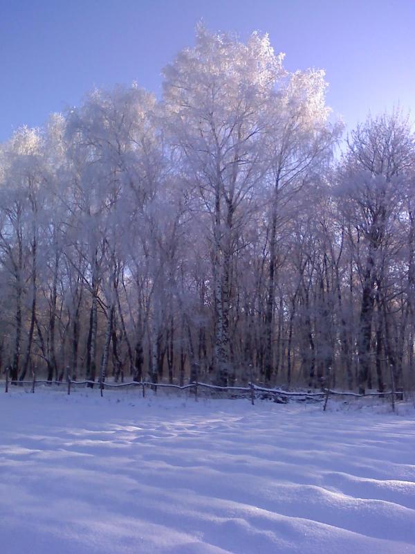 Кошмановка - Кошманівка