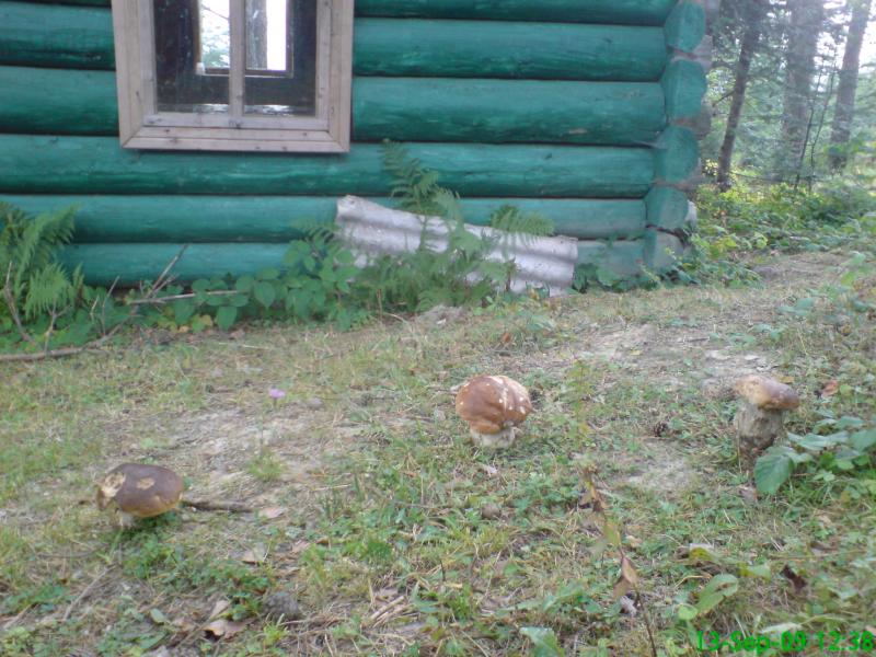 Пейзажі та околиці Лімни - Лимна