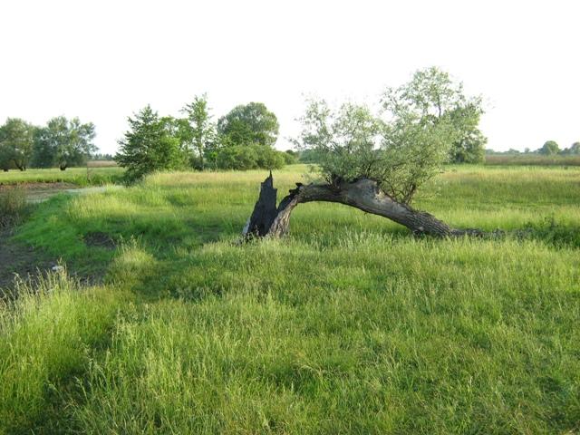 Моє село - Великоселецкое