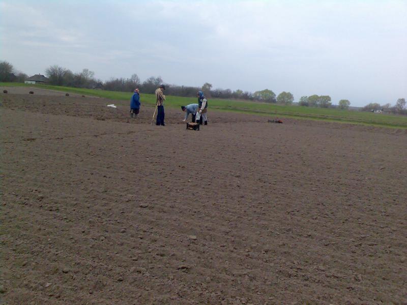 Тарасів - Тарасів